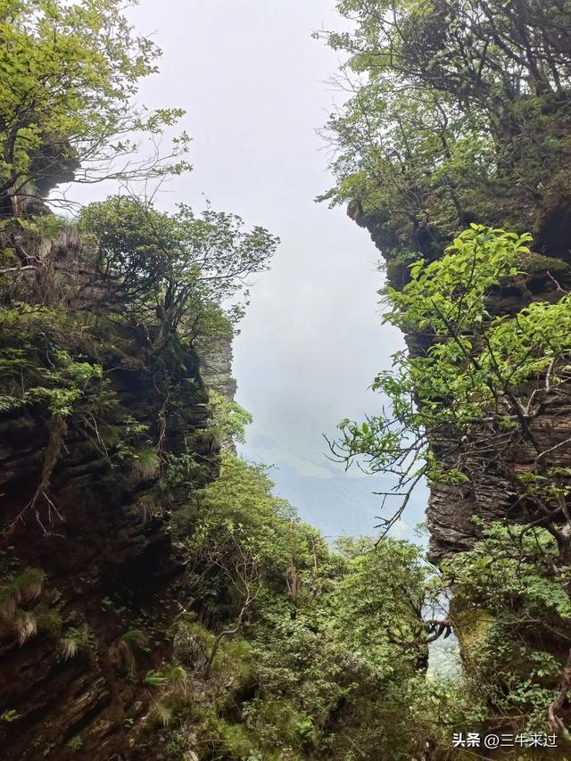 无为在歧路，贵州六日行（15）～梵净山