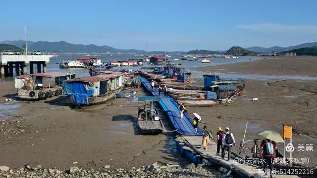 彩色旅图｜光影里的霞浦：滩涂、古树与渔排的诗意时光
