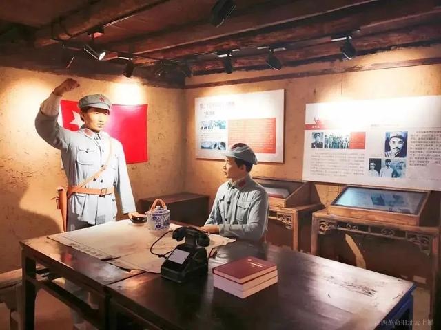 佛坪晚夏寻凉意，猫进秦岭躲避“秋老虎”！