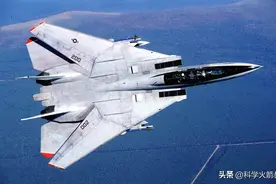模拟战机的绝唱——F-14雄猫图片