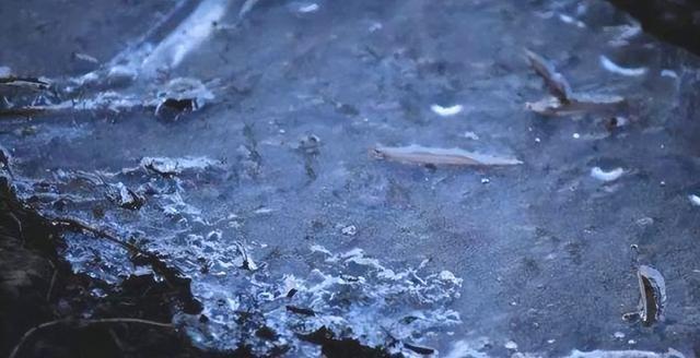 这不是迷信！“最怕立冬是雨天”，今日立冬，下雨啥预兆？