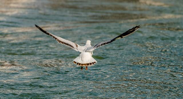 南行漫记：和宜宾握手再见，到李庄古镇打卡，今天跑到贵州