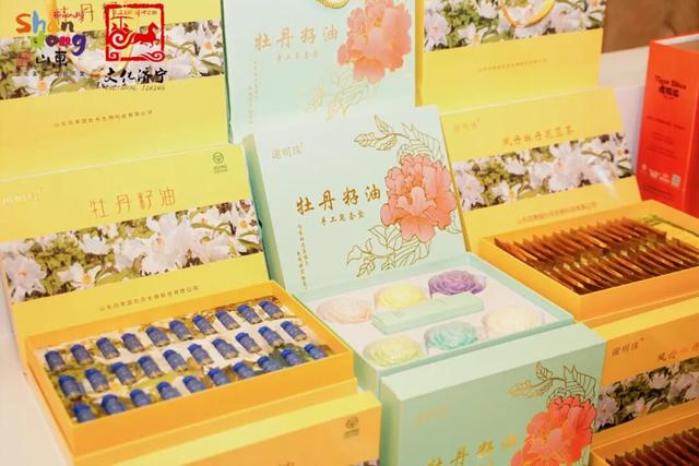 “乐启鹏城 趣游济宁”2025济宁文旅珠三角招商暨深圳旅游推介会在深圳成功举办