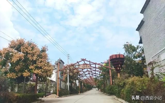 西安人发现一个世外桃源,窑洞炊烟,山水田园,面积比袁家村还大