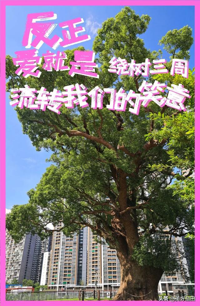 今日宜“疯狂”消费浪漫，反正爱就是______