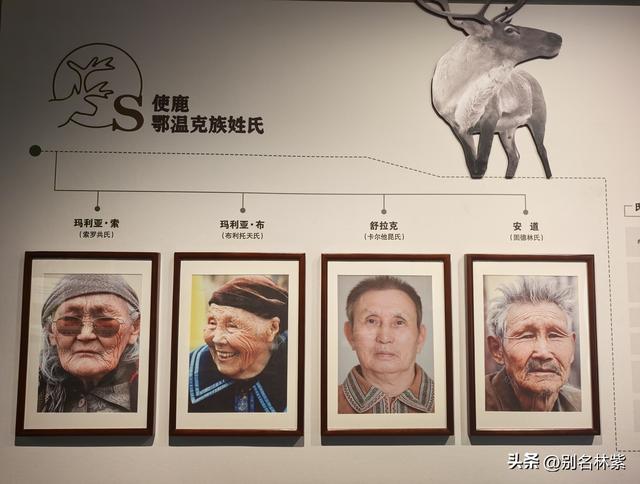 读懂《额尔古纳河右岸》，先从参观敖鲁古雅驯鹿博物馆开始（19）