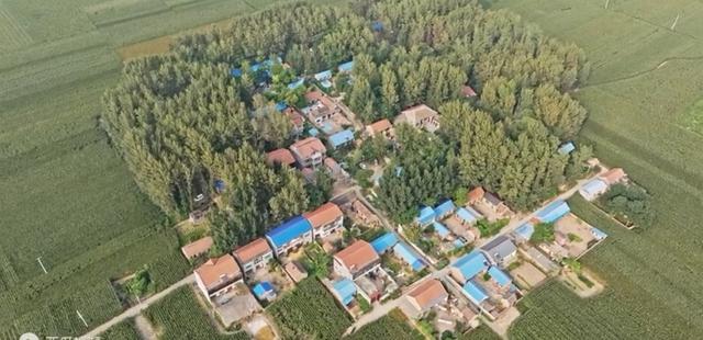 魅力曹县楼庄镇