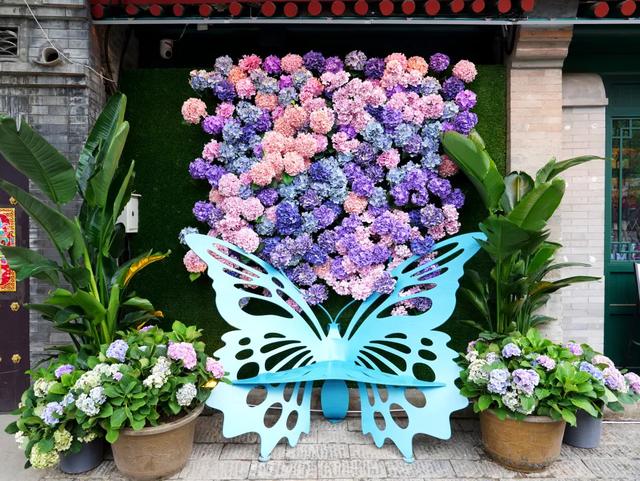 “花漾”漫染千年古道!模式口以繁花织就京西生态人文画卷