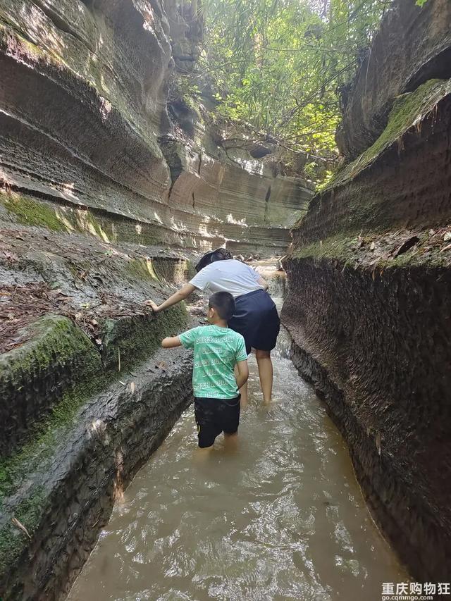 气温20℃+！重庆小众避暑点，吹凉风，捉小鱼，一日游也能耍安逸
