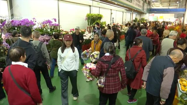 这才是重阳节该有的样子!爬西山、买花、吃重阳糕…昆明人的过节“三件套”齐了~