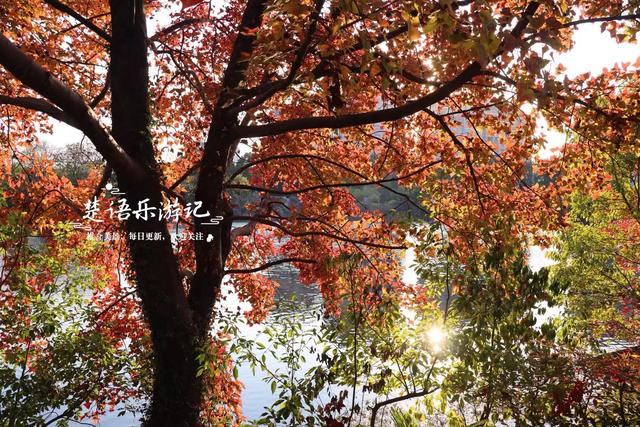 浙江宁波这处风景的秋色堪比诗画，人少景幽休闲很惬意，值得推荐