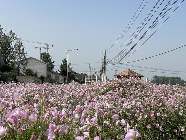 骑游浦口永宁醉美青山渔村