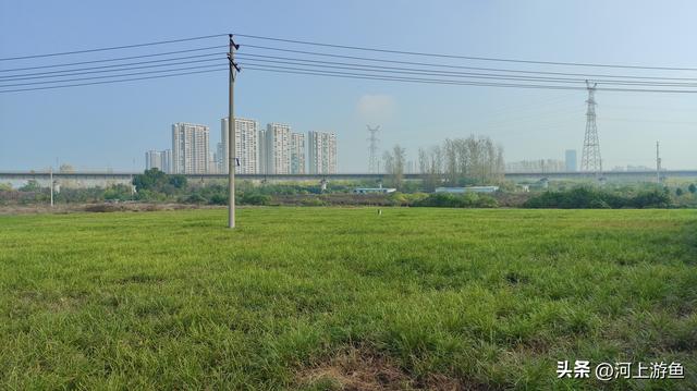 漯河历史文化遗迹之郝家台遗址