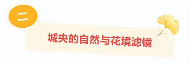 此刻的临沂，把清欢藏进风景里