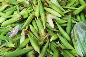 我的退休生活99：自行车轮胎被扎，晨骑落空后做什么？图片