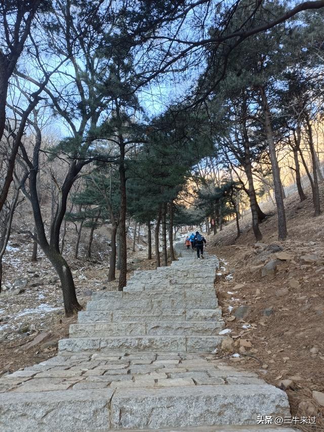 无为在歧路，二十四登泰山3