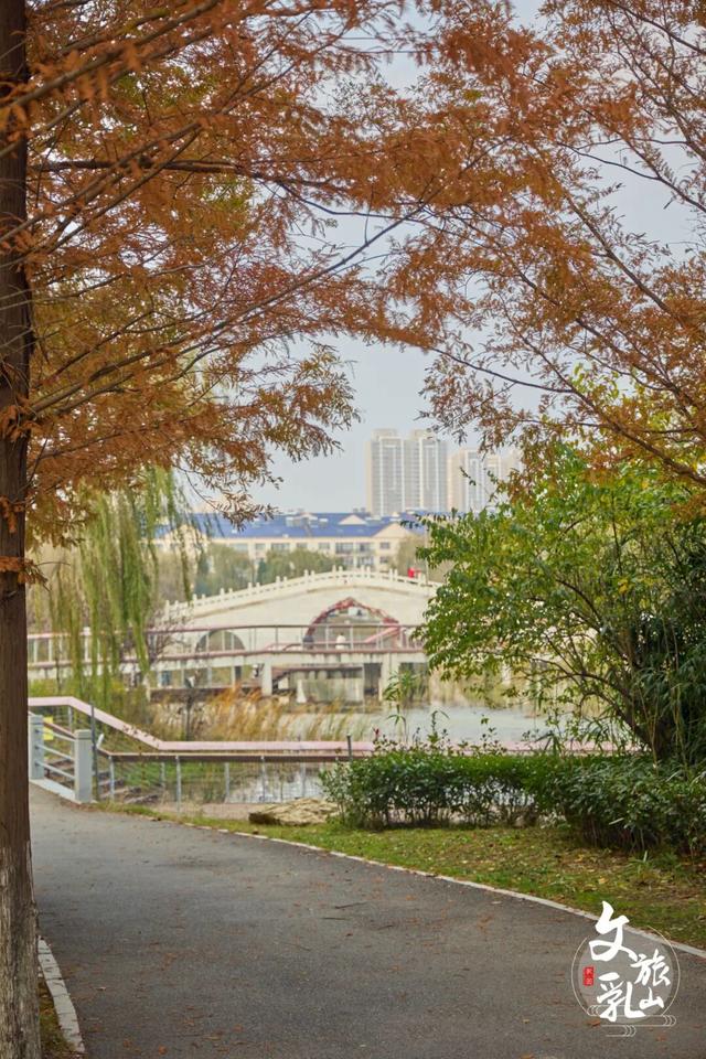 当秋风吻过乳山：一场关于色彩与治愈的漫步指南