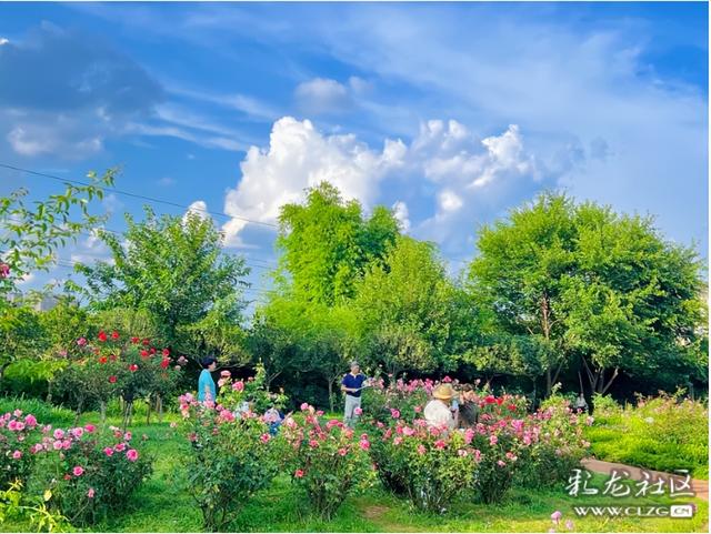 旅居云南，邂逅昆明大观楼之美～
