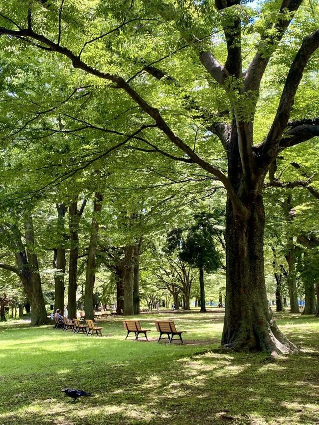 日本10天9晚自由行（1）：两个“J人”的旅游“P计划”
