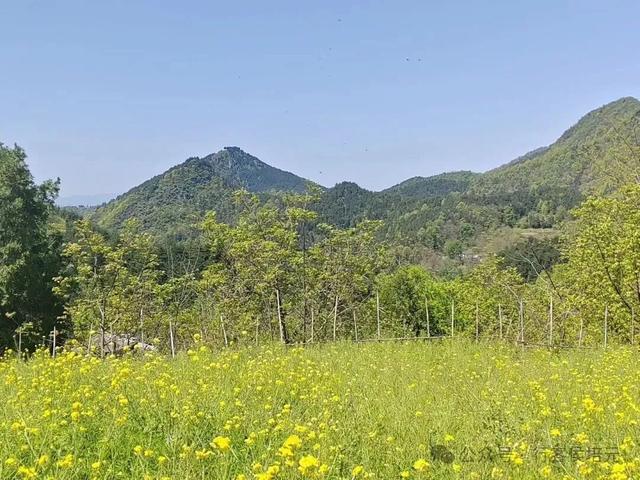 回到故乡陕西商洛，我被满屏文友的温情彻底感动了