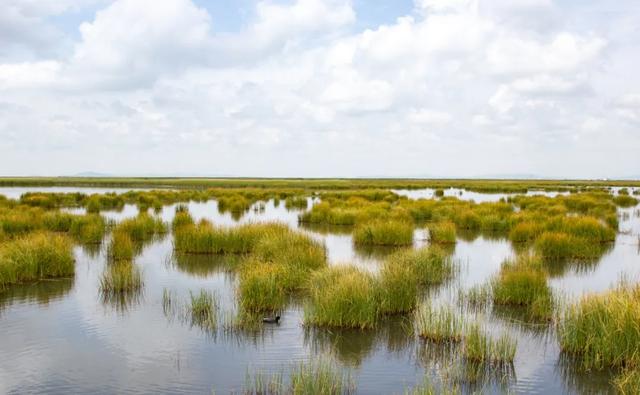 人这一辈子,一定要去一趟呼伦贝尔,真的是太美了