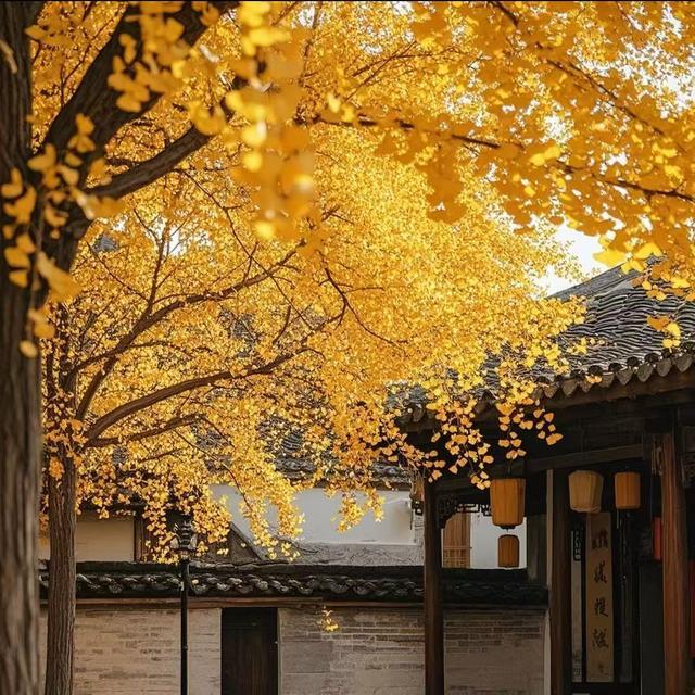 你被‘优化’掉，不是因为你不好，而是因为你的‘性价比’不够了