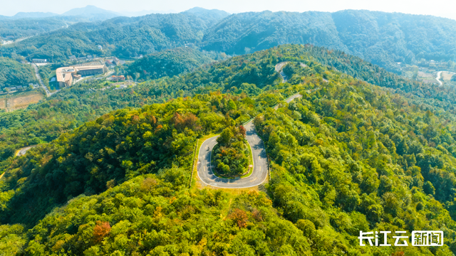 评分秋色：随州为啥被称为“杏”运城市？