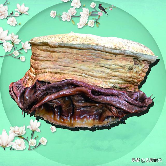 总重318斤！3A景区天津瓷艺园三株罕见野生太岁品相完好引关注