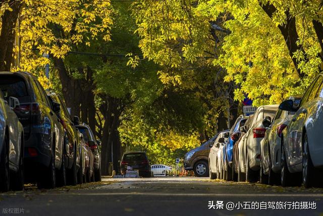 9 地秋日赏秋实测攻略！附最佳时间 + 落地玩法，收藏直接走