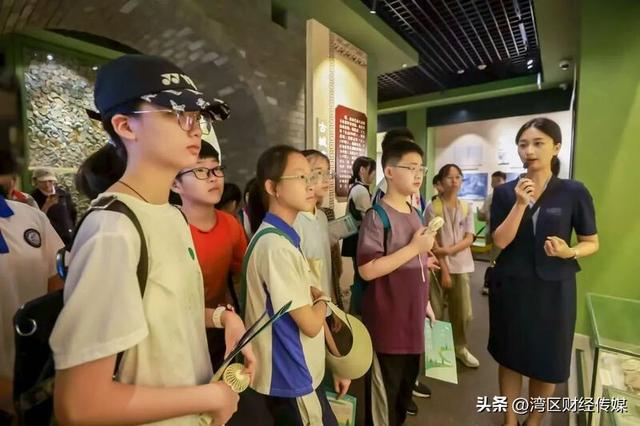 深圳人深情表白：“因为一条路，爱上一座城！”