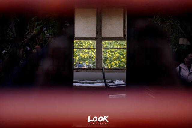 免费开放,北京冬天真的很适合来这里