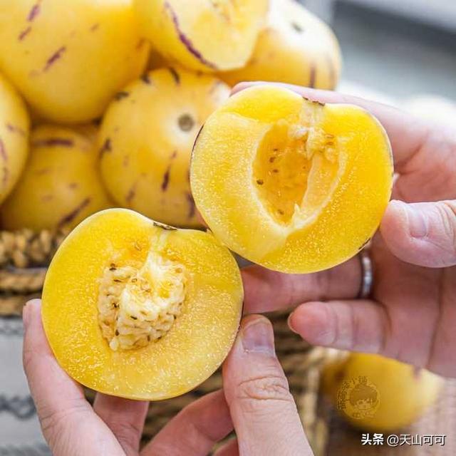 人参果有籽无籽区别，哪种甜又好吃？