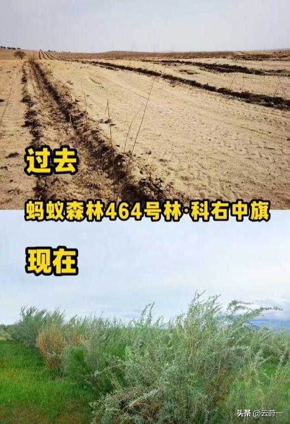 马云现身蚂蚁森林，大口吃西瓜，现场杂草丛生，跟2016年对比明显