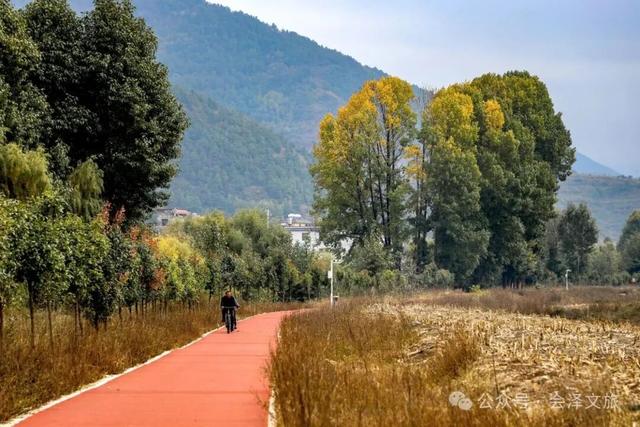 以礼初冬，树染波心山街色 蒋加祥/图