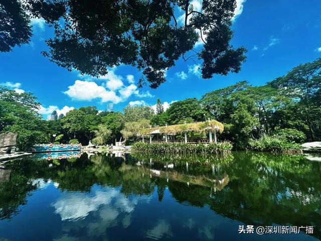 免费开放!持续21天!2025东湖公园菊花赏来啦~