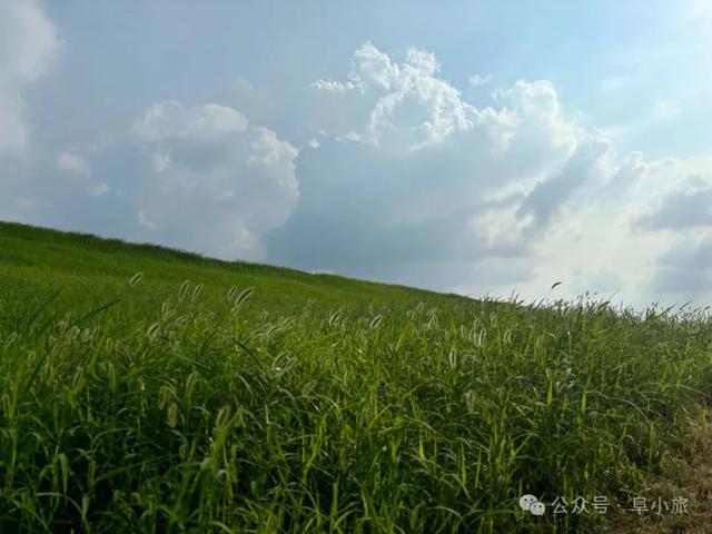好美！就在阜裕大桥附近！“动漫场景”？阜阳实景！