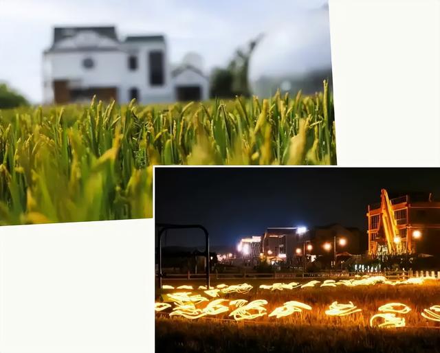 国庆到上海金山山阳田园逛美食市集、亲子体验、畅听果蔬音乐汇！