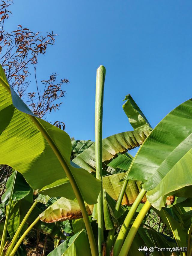 开着房车去流浪：打卡长沙狮子山公园