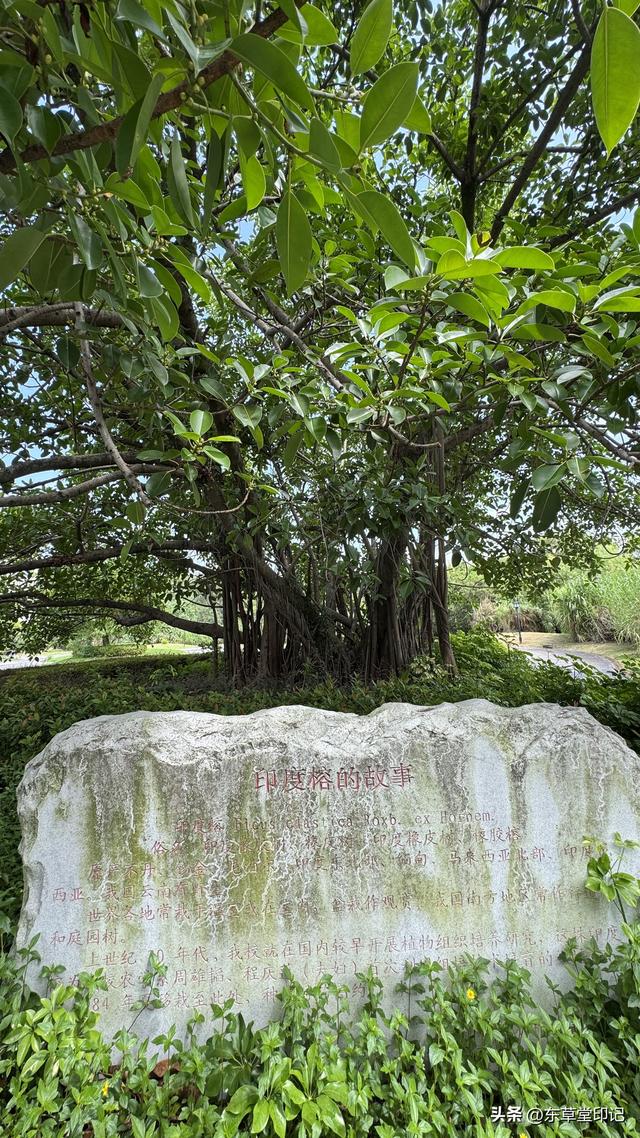 探秘福建农林大学苍山校区：不只是颜值爆表！