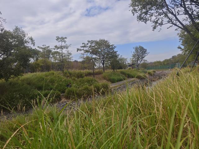 环西丽湖绿道骑行慢行随拍-动个好奇心