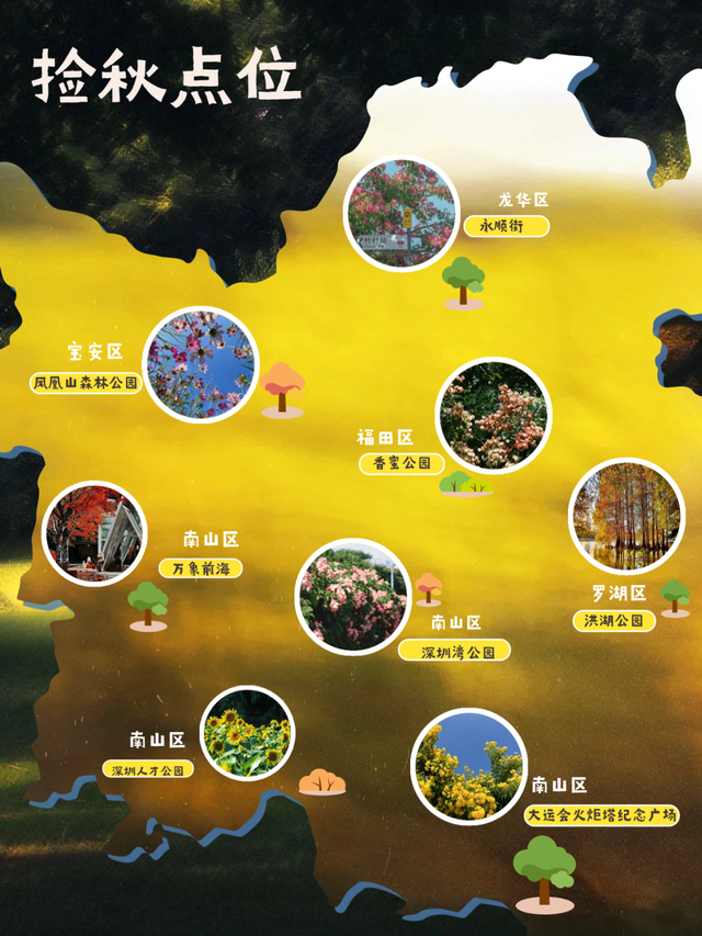 最近，不少深圳人都在捡！发图狂晒战绩，“有一种寻宝的感觉”