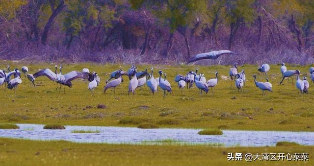伊犁秋色漫游指南来啦！三条主题线路，开启你的如画旅程