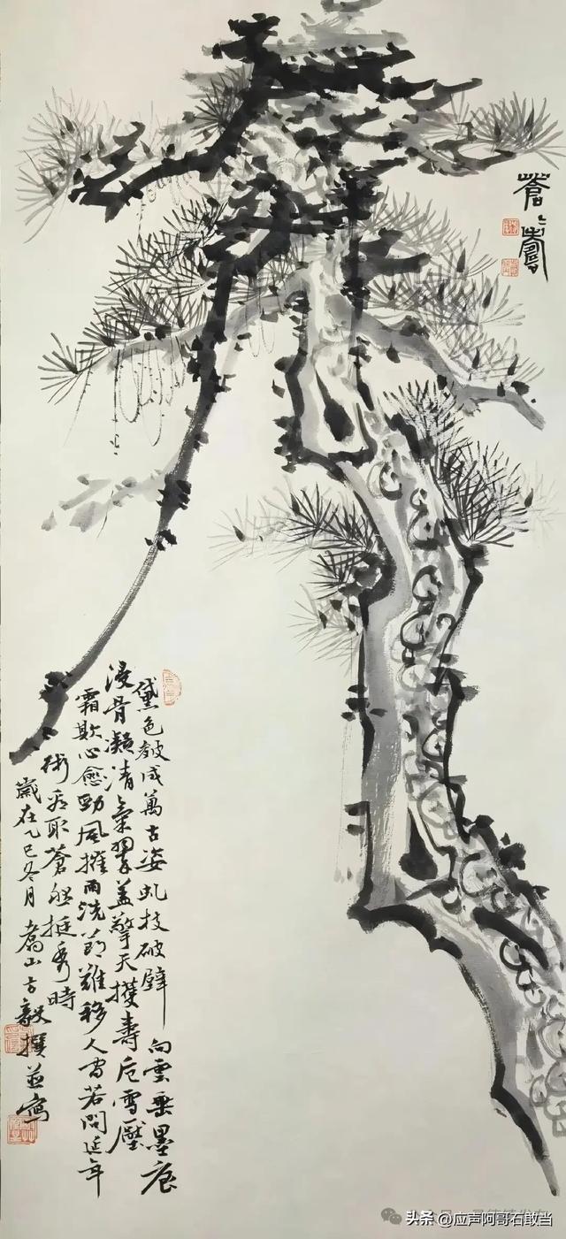 元旦将至!景德镇这些精彩活动等你来!