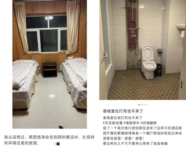 刚从旅游团逃出来，真想骂人