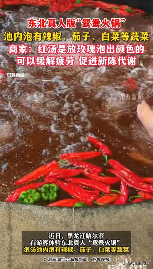 哈尔滨惊现“真人鸳鸯火锅”！泡池飘满辣椒，能养生？