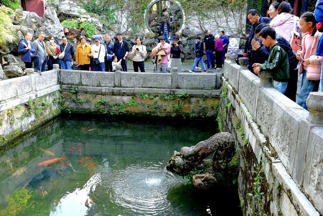 秋日惠山丨古韵演艺醉游人