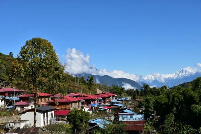 比格林童话更美！墨脱这个村坐拥雪山茶园秘境