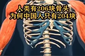 骨骼之谜：中国人和欧美人的骨骼结构差异解析图片