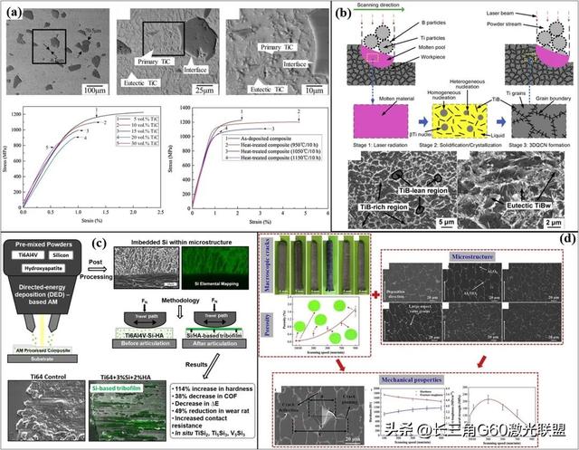 Mater. Sci. Eng. A先进材料激光定向能量沉积（DED-LB）全面综述
