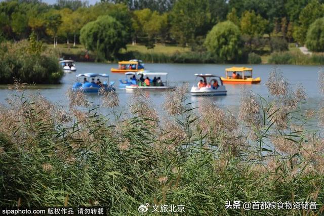 沉浸式感受！去“燕京十景”之一饱览碧波秋景｜周末京郊微度假